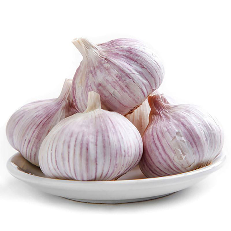 Bulk Garlic Garlic from China